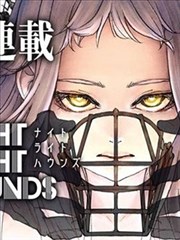 纸鸢与风 动漫在线观看封面